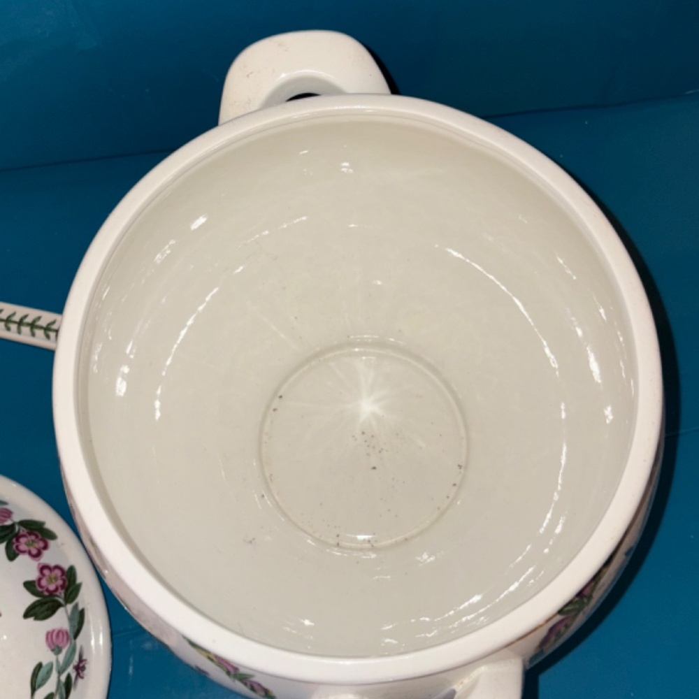 Portmeiron Botanic Garden Soup Tureen and Ladle - Picture 6 of 8